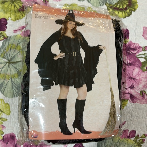 Other - Plus sized Witchy Halloween Costume with Matching Hat and Flowy Sleeves